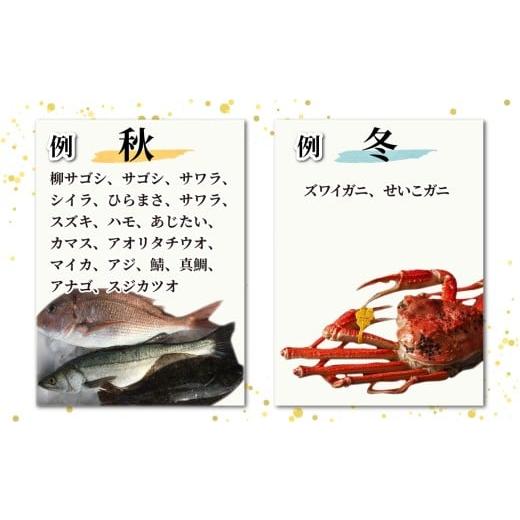 ふるさと納税 魚貝類 福井県 南越前町  先行予約 2回お届け 朝獲り 漁師厳選 鮮魚セット (大) 5種類以上 約5kg 2026年4月以降発送開始 お届け対象月 4月,6月,8…の画像