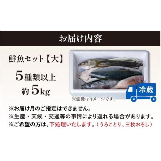 ふるさと納税 魚貝類 福井県 南越前町  先行予約 2回お届け 朝獲り 漁師厳選 鮮魚セット (大) 5種類以上 約5kg 2026年4月以降発送開始 お届け対象月 4月,6月,8…の画像
