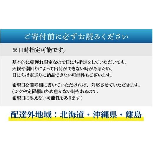 ふるさと納税 魚貝類 福井県 南越前町  先行予約 3回お届け 朝獲り 漁師厳選 鮮魚セット (小) 3種類以上 約1.5kg 2026年4月以降発送開始 お届け対象月 4月,6月…の画像