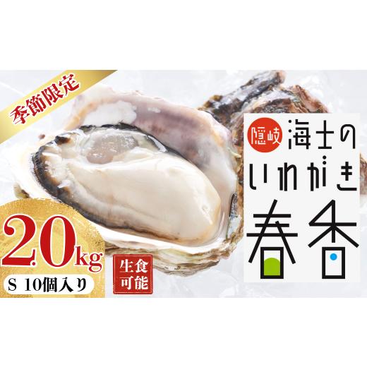 ふるさと納税 牡蠣 生牡蠣 島根県 海士町 圧倒的ボリューム いわがき春香 Sサイズ 10個|満足度LL級の極上岩牡蠣(生食可) 2026年 3月中旬以降順次お届け