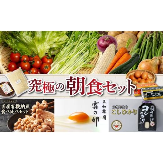 ふるさと納税 セット・詰合せ 京都府 亀岡市 8月発送 旬の野菜セット1回 「みなとや」| 京野菜 京都府産 亀岡市産 京丹波町産 旬 新鮮 野菜セット 卵 納豆 野…