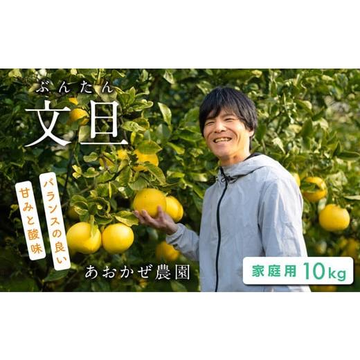 ふるさと納税 みかん・柑橘類 高知県 宿毛市 あおかぜ農園の土佐文旦 約10kg家庭用 約10kg家庭用(17,000円)