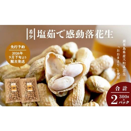 ふるさと納税 豆類 落花生 鹿児島県 南大隅町 先行予約 2026年9月下旬〜順次発送 鹿児島県産 塩茹でジャンボ落花生(おおまさり) 300g×2パック 冷凍 FR-3 |…