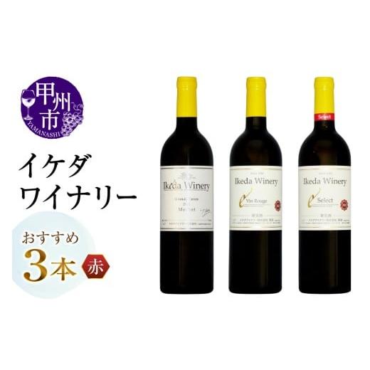 ふるさと納税 ワイン セット 山梨県 甲州市 イケダワイナリーおすすめ赤ワイン3本セット(MG)C7-654 ワイン イケダワイナリー 赤ワイン 甲州市 山梨県