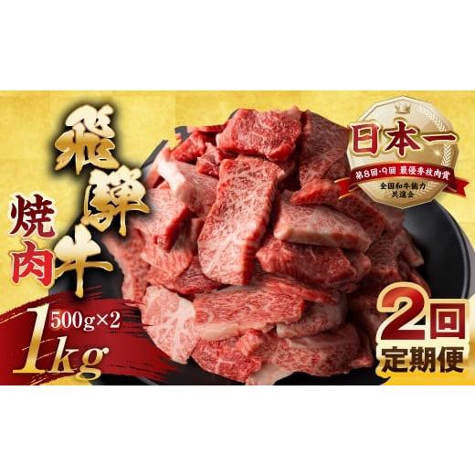 ふるさと納税 牛肉 焼肉・バーベキュー 岐阜県 本巣市 定期便 訳あり 飛騨牛 焼肉 切り落とし 500g × 2 計 1kg 2回お届け定期便 | 牛肉 肉 切落し わけあり …