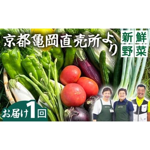 ふるさと納税 セット・詰合せ 京都府 亀岡市 5月発送 新鮮 旬の野菜セット 7〜10品目 京都 佐伯の里 | 京都丹波・亀岡産 季節の野菜詰め合わせ 朝採れ 直送 …