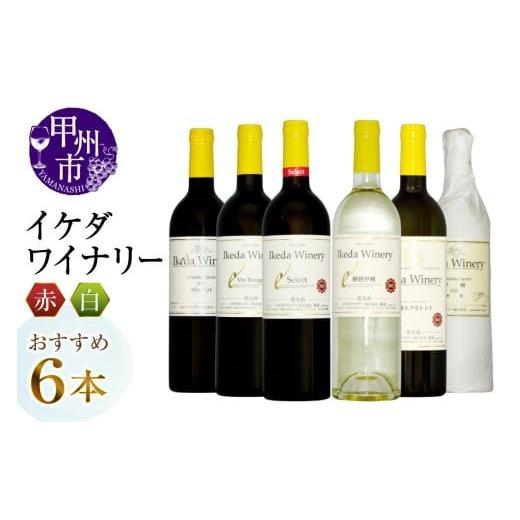 ふるさと納税 ワイン セット 山梨県 甲州市 イケダワイナリーおすすめ赤白6本セット(MG)E6-670 ワイン イケダワイナリー 赤ワイン 白ワイン 甲州市 山梨県