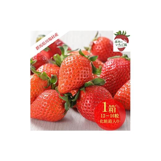 ふるさと納税 いちご 群馬県 川場村 森林の力で育った朝摘みいちご1箱 12〜16粒入り 1033308