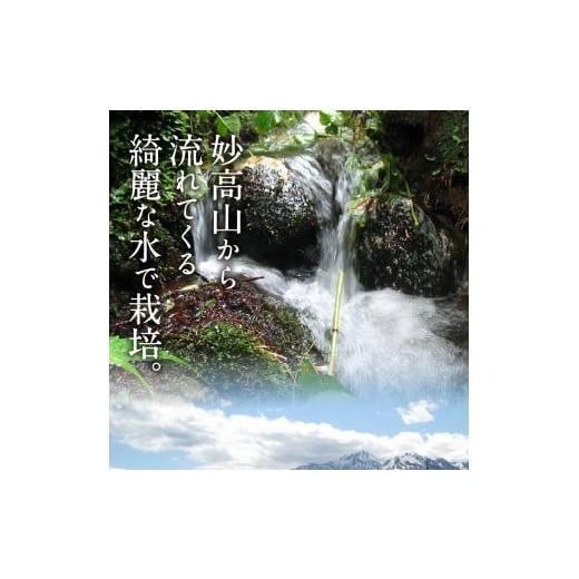 ふるさと納税 米 新潟県 妙高市  2026年5月中旬発送 令和7年産 新潟県妙高産つきあかり20kg 2026年5月中旬発送の画像