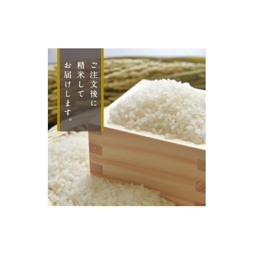 ふるさと納税 米 新潟県 妙高市  2026年5月中旬発送 令和7年産 新潟県妙高産つきあかり20kg 2026年5月中旬発送の画像