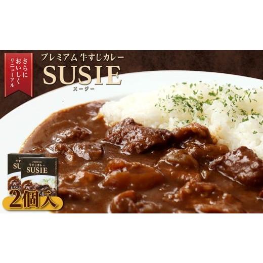 ふるさと納税 惣菜・レトルト 長崎県 佐世保市 E507 ごろごろ具だくさん ポストにお届け 牛すじカレー SUSIE(計2袋) 長崎豊味館 簡単 レトルト カレー 牛すじ …