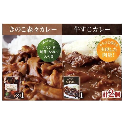 ふるさと納税 惣菜・レトルト 長崎県 佐世保市 E510 ごろごろ具だくさん ポストにお届け きのこ森々カレー・牛すじカレー SUSIEセット 長崎豊味館 簡単 レトル…