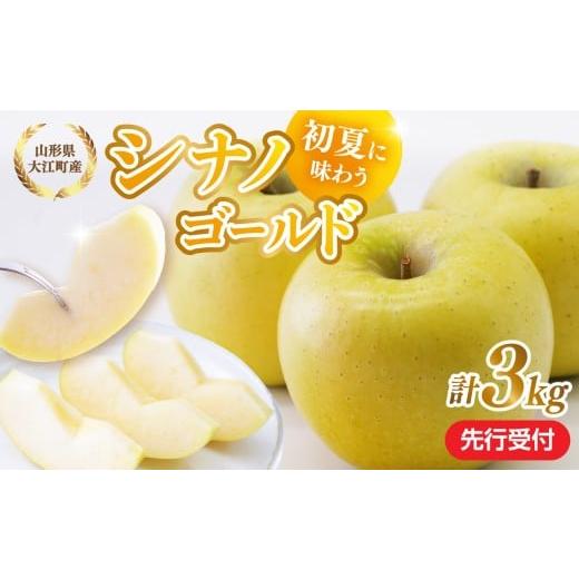 ふるさと納税 りんご 山形県 大江町 [先行受付]大江町産 りんご シナノゴールド約3kg 2026年5月上旬頃〜順次発送予定 028-037