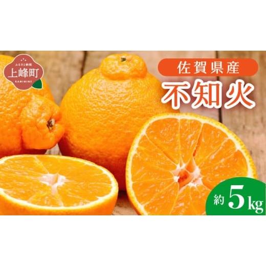 ふるさと納税 みかん・柑橘類 佐賀県 上峰町 不知火 約5kg