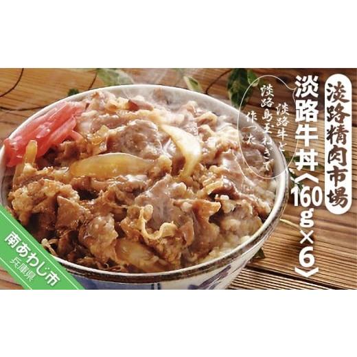 ふるさと納税 惣菜・レトルト 冷凍 兵庫県 南あわじ市 淡路牛丼 160g×6パック