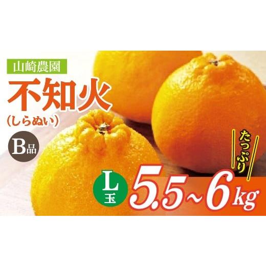 ふるさと納税 みかん・柑橘類 佐賀県 多久市 数量限定 コクのある甘みとさわやかな酸味 不知火 しらぬい B級品 5.5〜6kg L玉 3月末頃から順次発送 | 山崎農園…