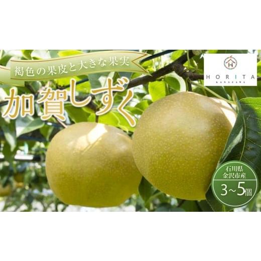 ふるさと納税 梨 石川県 金沢市 2026年8月下旬以降発送 先行予約 加賀しずく梨 3〜5個 加賀しずく フルーツ 果物 くだもの 食品 石川 金沢 北陸 復興支援 復…