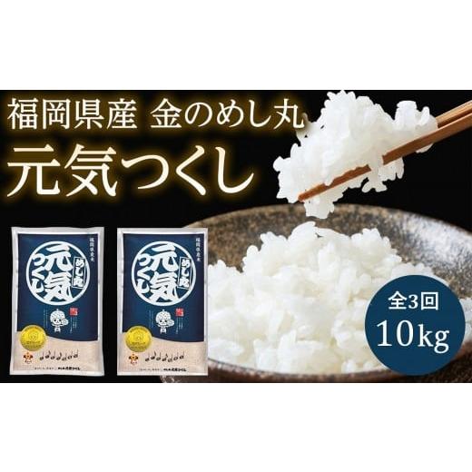 ふるさと納税 米 福岡県 筑前町 令和7年度 『定期便(隔月発送)』福岡県産めし丸元気つくし10kg(5kg×2袋)全3回