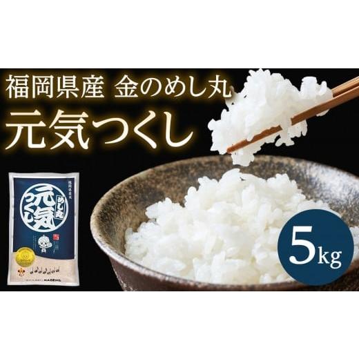 ふるさと納税 米 福岡県 筑前町 令和7年度 福岡県産金のめし丸元気つくし 5kg(5kg×1袋)