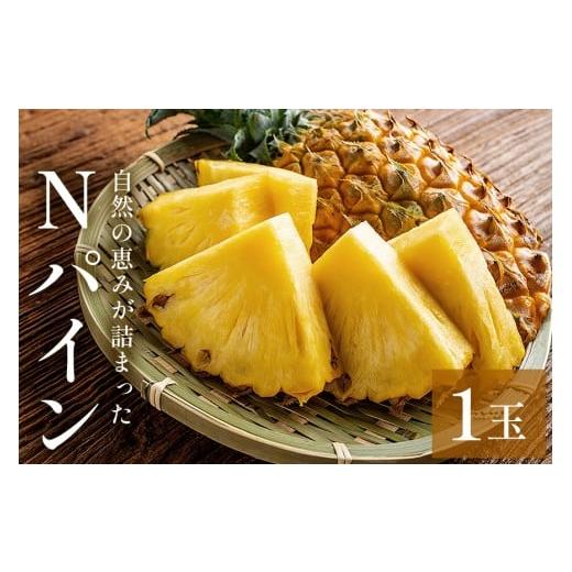 ふるさと納税 果物類 沖縄県 糸満市 先行予約 2026年 発送 Nパイン 1玉 自然の恵み詰まったパイナップル パイナップル パイン 沖縄県産 訳あり 訳アリ 国産 …