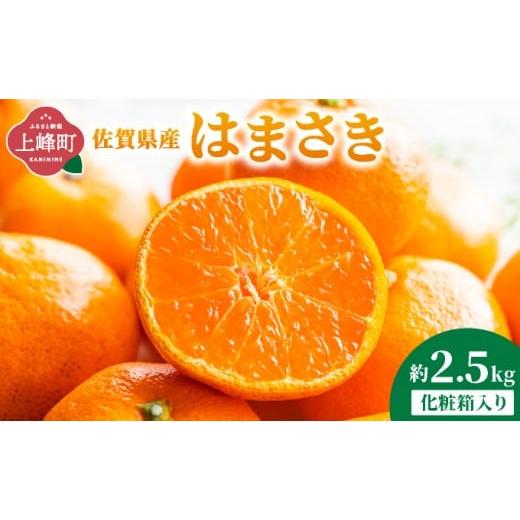 ふるさと納税 みかん・柑橘類 佐賀県 上峰町 はまさき 約2.5kg 化粧箱入り