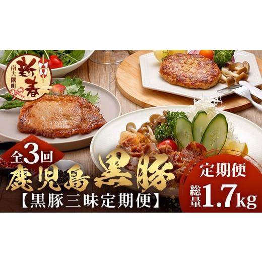 ふるさと納税 豚肉 ロース 鹿児島県 南大隅町 [新春] 全3回 鹿児島県産 黒豚三昧 定期便 黒豚味噌漬け 生姜焼き 生ハンバーグ ＼＼ 黒豚ロース味噌漬け バナ…