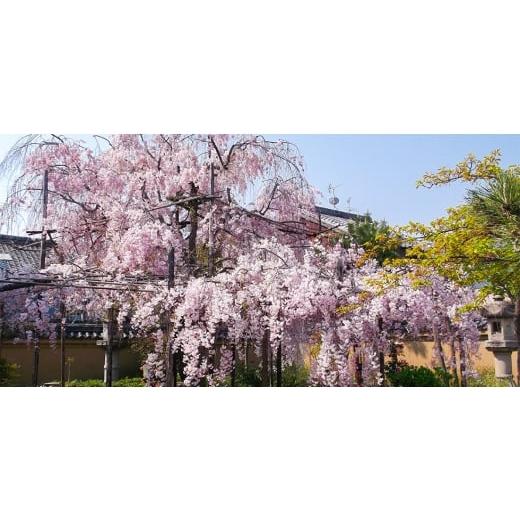 ふるさと納税 雑貨・日用品 奈良県 安堵町 ボックスフレーム／フェイバリット ブラウン+中枠K1(白)+フェイバリット台紙／3面ベージュ 1703946の画像