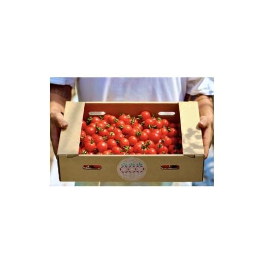 ふるさと納税 トマト ミニトマト 北海道 富良野市 農家直送 北海道 富良野産 ミニトマト プレミアムルビー 3kg 1704465