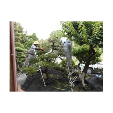 ふるさと納税 イベントやチケット等 福岡県 みやま市 D3 ふるさとの家管理サービス 草刈又は除草9時間相当 家管理 ふるさと 管理サービス 実家 親戚 空き家 お…