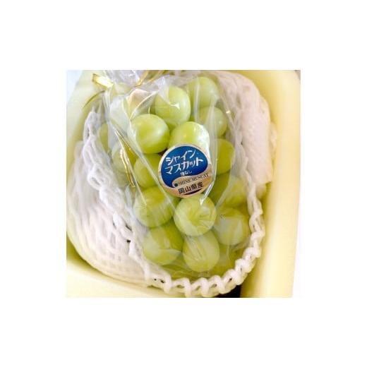 ふるさと納税 ぶどう マスカット 岡山県 倉敷市 訳あり 家庭用 シャインマスカット 800g以上 1房入り 2026年9月上旬〜10月上旬発送予定 果物 フルーツ くだも…