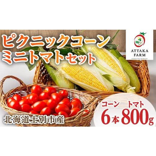ふるさと納税 とうもろこし 北海道 士別市 [先行予約受付中]北海道 士別市産 極甘 ピクニックコーン(6本)とミニトマト(800g)のセット 2026年8月以降順次発送…