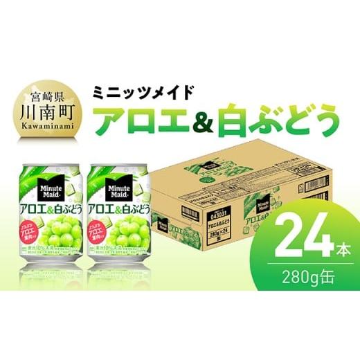ふるさと納税 果汁飲料 ぶどう 宮崎県 川南町 ミニッツメイド「アロエ&amp;白ぶどう」280g缶 24本 飲料 アロエ 白ぶどう 果汁 長期保存 単発 280g×24本