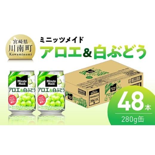 ふるさと納税 果汁飲料 ぶどう 宮崎県 川南町 ミニッツメイド「アロエ&amp;白ぶどう」280g缶 48本(24本×2箱) 飲料 アロエ 白ぶどう 果汁 長期保存 単発 280…