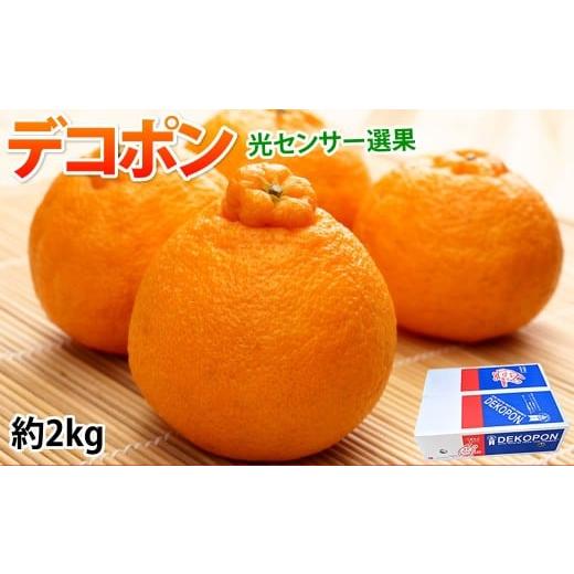 ふるさと納税 みかん・柑橘類 デコポン 熊本県 熊本市 デコポン I12光センサー選果 約2kg (5〜10玉) 2025年12月上旬から2026年5月下旬発送予定 でこぽん 蜜…