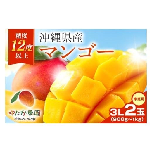 ふるさと納税 マンゴー 沖縄県 糸満市 先行予約 2026年 発送 ゆたか農園 糖度12度以上 沖縄県産マンゴー 3L 2玉(家庭用) アップルマンゴー アーウィンマン…