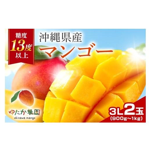 ふるさと納税 マンゴー 沖縄県 糸満市 先行予約 2026年 発送 ゆたか農園 糖度13度以上 沖縄県産マンゴー 3L 2玉 アップルマンゴー アーウィンマンゴー 国産 …