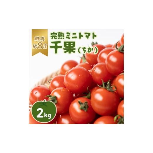 ふるさと納税 トマト ミニトマト 埼玉県 入間市 入間市産完熟ミニトマト「千果(ちか)」2kg 1491951