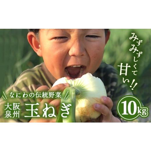 ふるさと納税 ねぎ・玉ねぎ 大阪府 泉大津市 幻のたまねぎ 泉州黄玉ねぎ 10kg | 野菜 やさい 伝統野菜 泉州玉ねぎ たまねぎ 玉葱 ネギ 産地直送 大阪府 泉大津…の画像