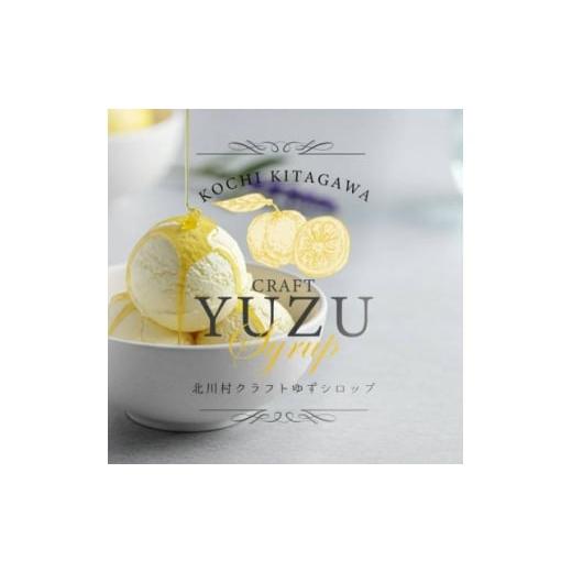 ふるさと納税 調味料・油 高知県 北川村 北川村クラフトゆずシロップ 300ml×3本 1704210