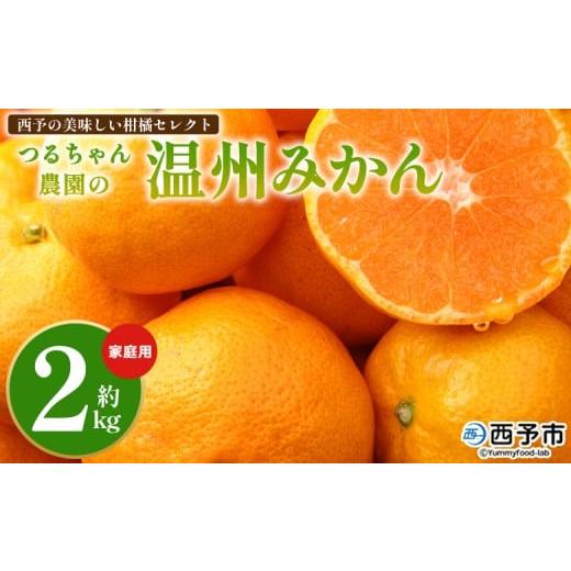 ふるさと納税 果物類 みかん 愛媛県 西予市 西予の美味しい柑橘セレクト(ご家庭用)/つるちゃん農園のみかん(約2kg) 果物 くだもの フルーツ 蜜柑 みかん…