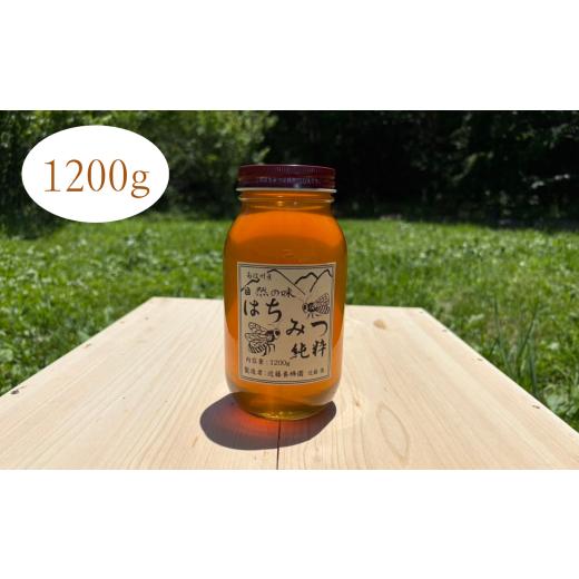 ふるさと納税 加工品等 はちみつ 長野県 飯田市 純粋 蜂蜜 長野県飯田市産 1200g | 蜂蜜 はちみつ 養蜂 長野県 飯田市 信州 1200g