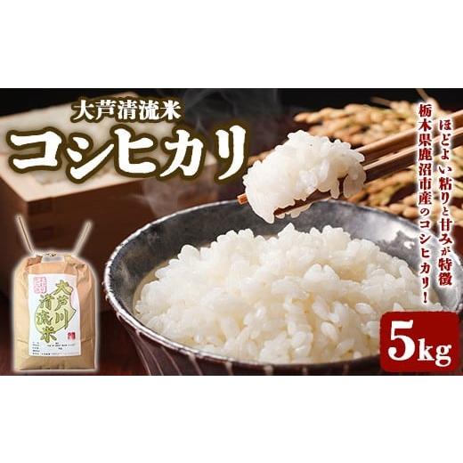 ふるさと納税 米 コシヒカリ 栃木県 鹿沼市 大芦清流米 コシヒカリ 5kg | 米 お米 おこめ 精米 5キロ ご飯 ごはん 栃木県 鹿沼市 離島への配送不可