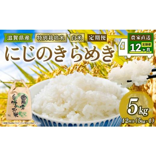 ふるさと納税 米 滋賀県 竜王町 特別栽培米 にじのきらめき 米 5kg 白米 定期便 12ヶ月 虹のきらめき 定期 12か月 2025年産 滋賀県 竜王町 令和7年産 国産 農…