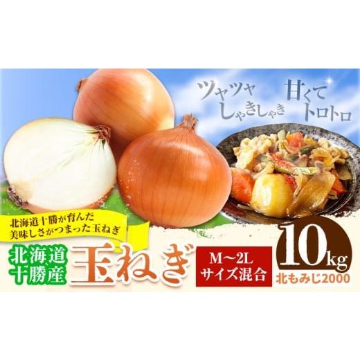 ふるさと納税 ねぎ・玉ねぎ 北海道 本別町 玉ねぎ 10kg 北もみじ2000 山下農場[9月中旬-10月末頃出荷] 北海道 本別町 たまねぎ タマネギ 万能 北海道産 玉ね…