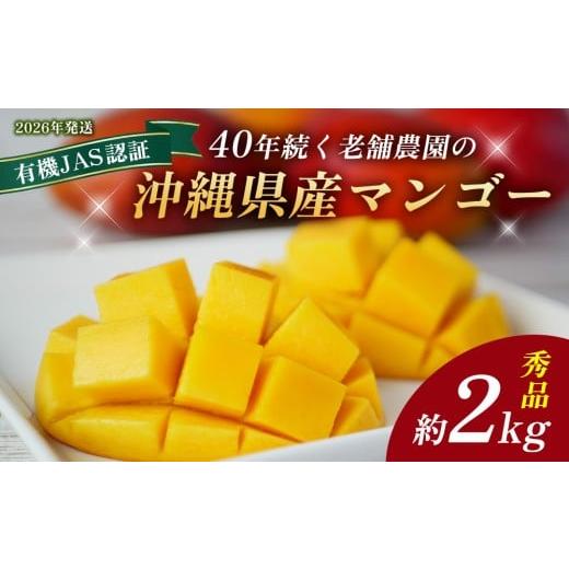 ふるさと納税 マンゴー 沖縄県 名護市 2026年発送 40年続く老舗農園の沖縄県産マンゴー 約2kg 秀品 有機JAS 2026年 沖縄 マンゴー 果物 フルーツ 数量限定 贈…