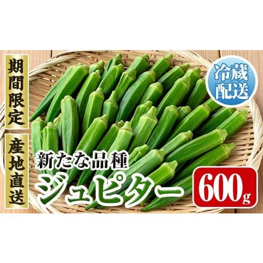 ふるさと納税 野菜類 鹿児島県 出水市 i1216-A 先行予約受付中 2026年7月下旬〜10月下旬の間に発送予定 いずみ産 オクラ 新たな品種・ジュピター(600g) オクラ…