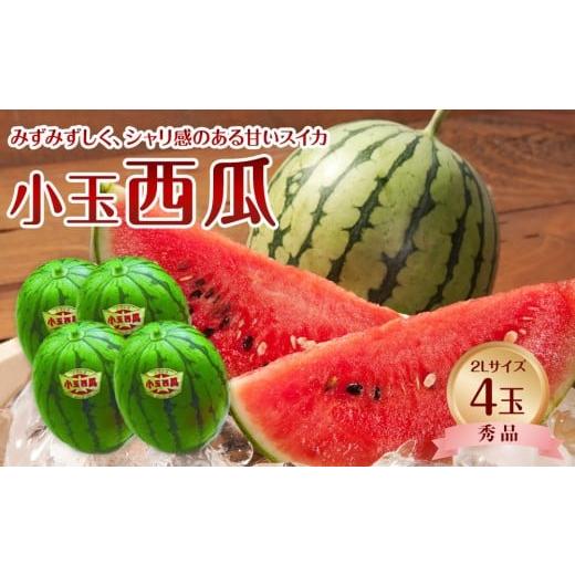 ふるさと納税 スイカ 鳥取県 北栄町 1251. 先行予約 JA 小玉西瓜 秀2L×4玉 着日指定不可 離島への配送不可 2026年9月初旬頃〜9月下旬頃に順次発送予…