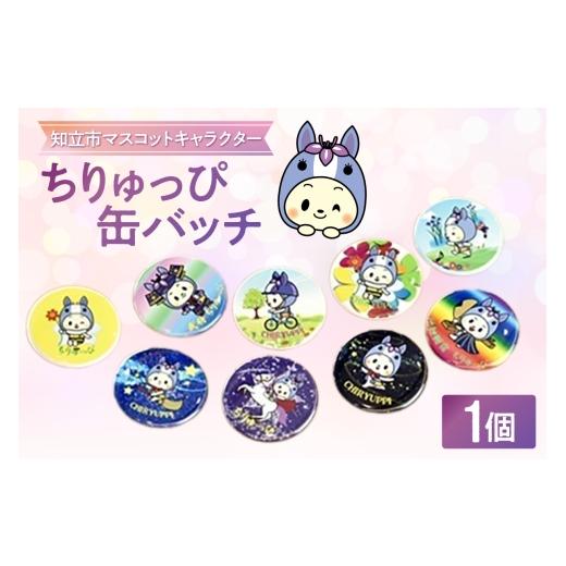 ふるさと納税 雑貨・日用品 愛知県 知立市 ちりゅっぴ缶バッチ(3221)