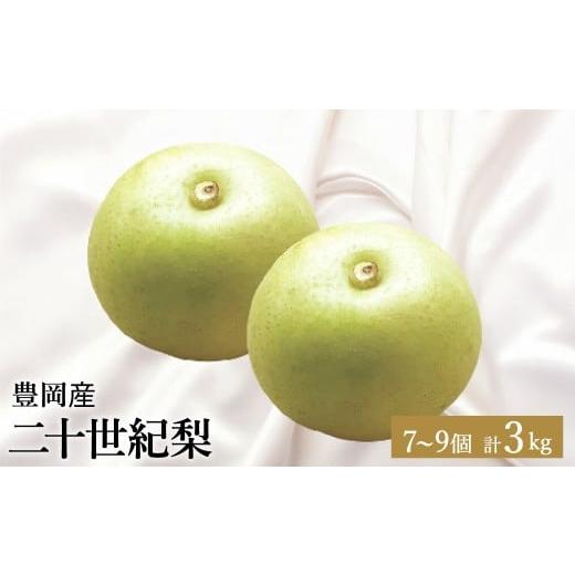 ふるさと納税 梨 兵庫県 豊岡市 二十世紀梨 3kg(7〜9個) / 梨 産地直送 みずみずしい シャリシャリ 食感 さっぱり バランスの良い 酸味 甘味 減農薬 なし …