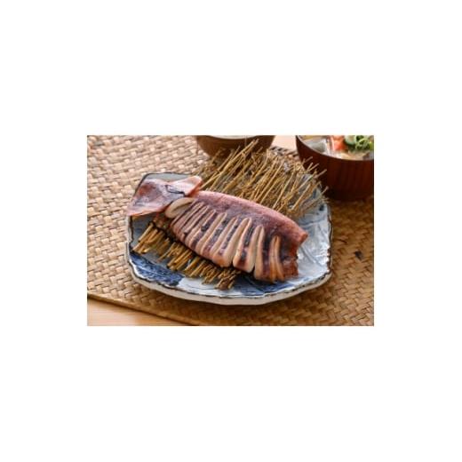 ふるさと納税 イカ 大阪府 茨木市 直火焼き魚 肉厚するめいか塩焼き 2杯入 加熱済 1700226